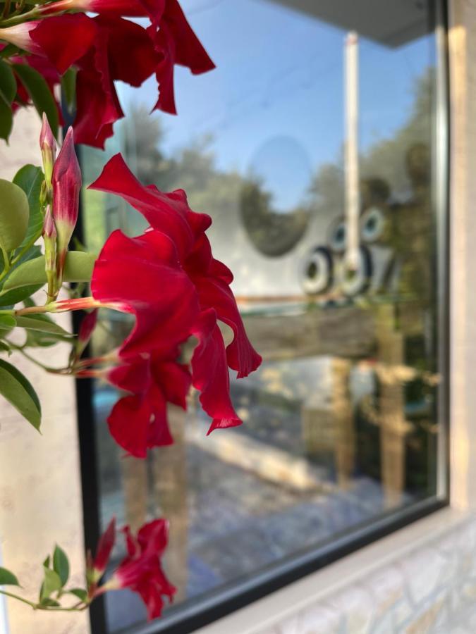 Vila Natali Himare Esterno foto