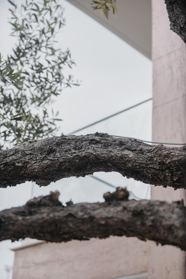 Vila Natali Himare Esterno foto