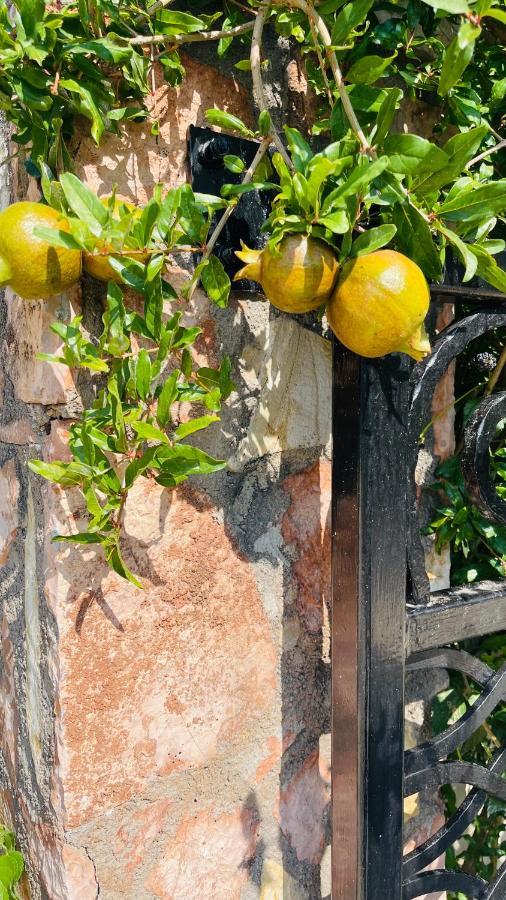 Vila Natali Himare Esterno foto